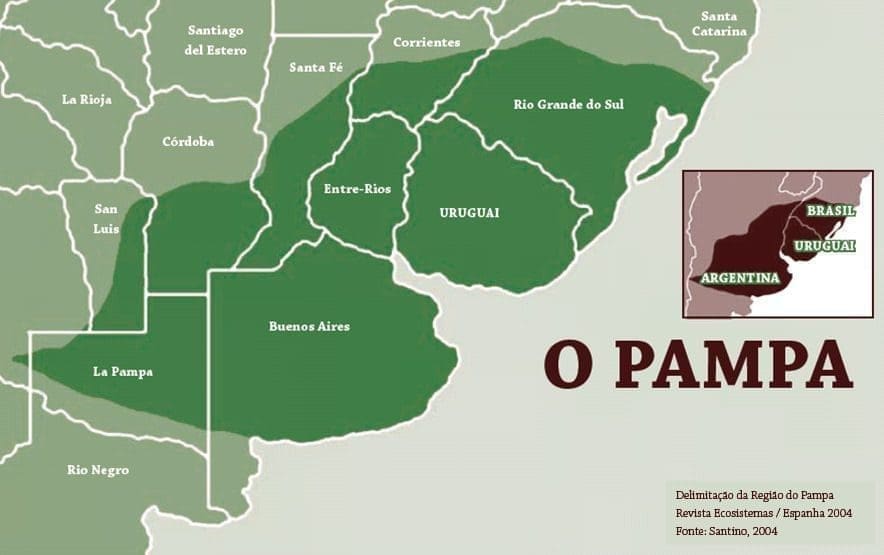 Mapa do Bioma Pampa seu lugar de ocorrência na América do Sul, destacado em verde escuro.