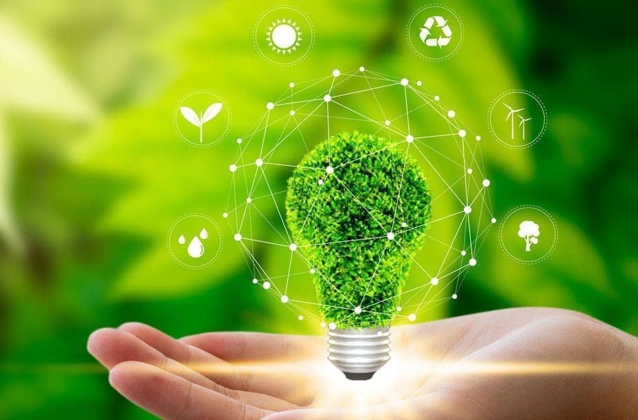 Imagem digital de uma mão segurando uma lâmpada coberta por plantas, flutua ao redor da lâmpada ícones que representam a ideia de sustentabilidade, como o símbolo da reciclagem.