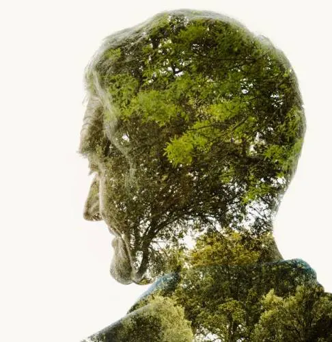 Diferenças entre ecologia e sustentabilidade - perguntas e respostas