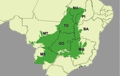 Mapa do Cerrado brasileiro, em verde -escuro as regiões dos estados onde ele ocorre.
