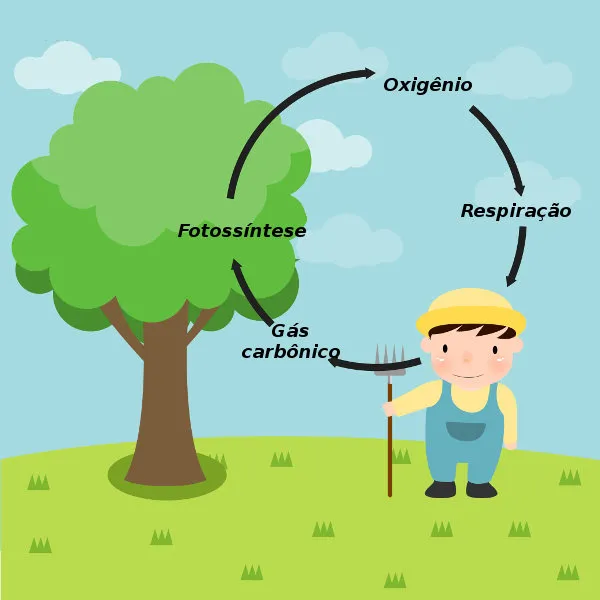 Um menino ao lado de uma árvore pensando sobre os ciclos biogeoquímicos resumo
