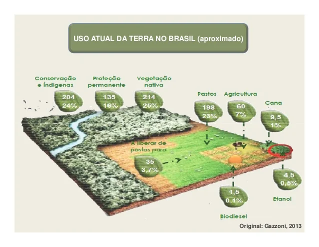 Ecossistema mostra vários pontos que afetam a mudança no Uso da terra