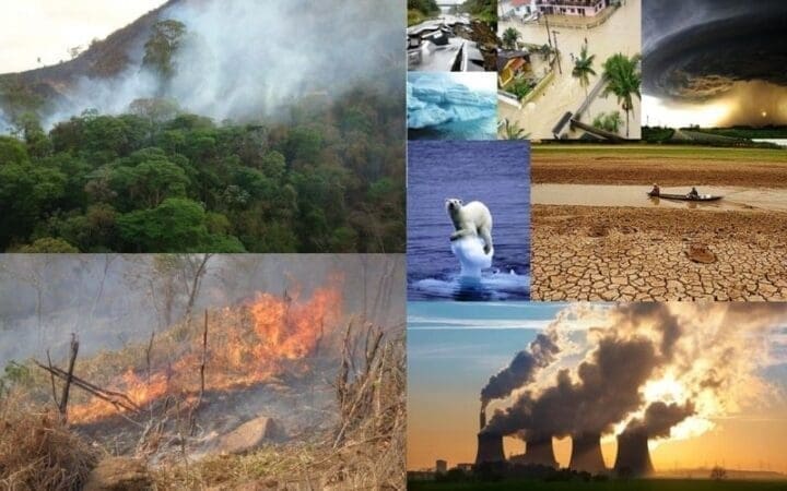 Efeitos das Mudanças climáticas e do aquecimento global nos ecossistemas