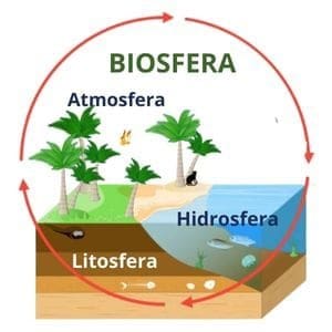 Ilustração da litosfera, camada de terra externa de coloração marrom, a hidrosfera representada por um lago azul, a atmosfera, acima da litosfera e hidrosfera e a biosfera que engloba todas essas partes, onde existe vida.
