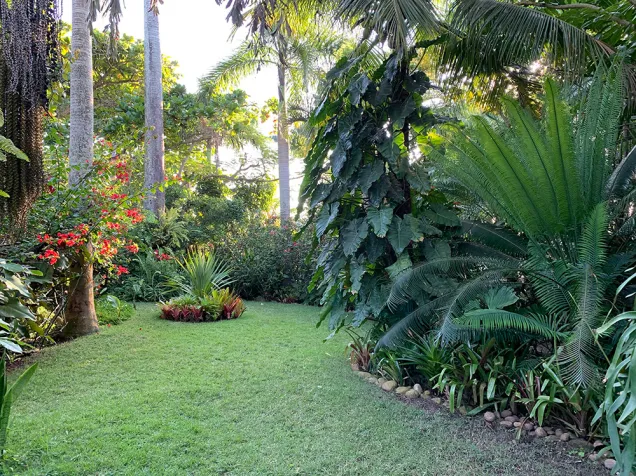 Um belo Jardim florestal sensorial alegra o ambiente