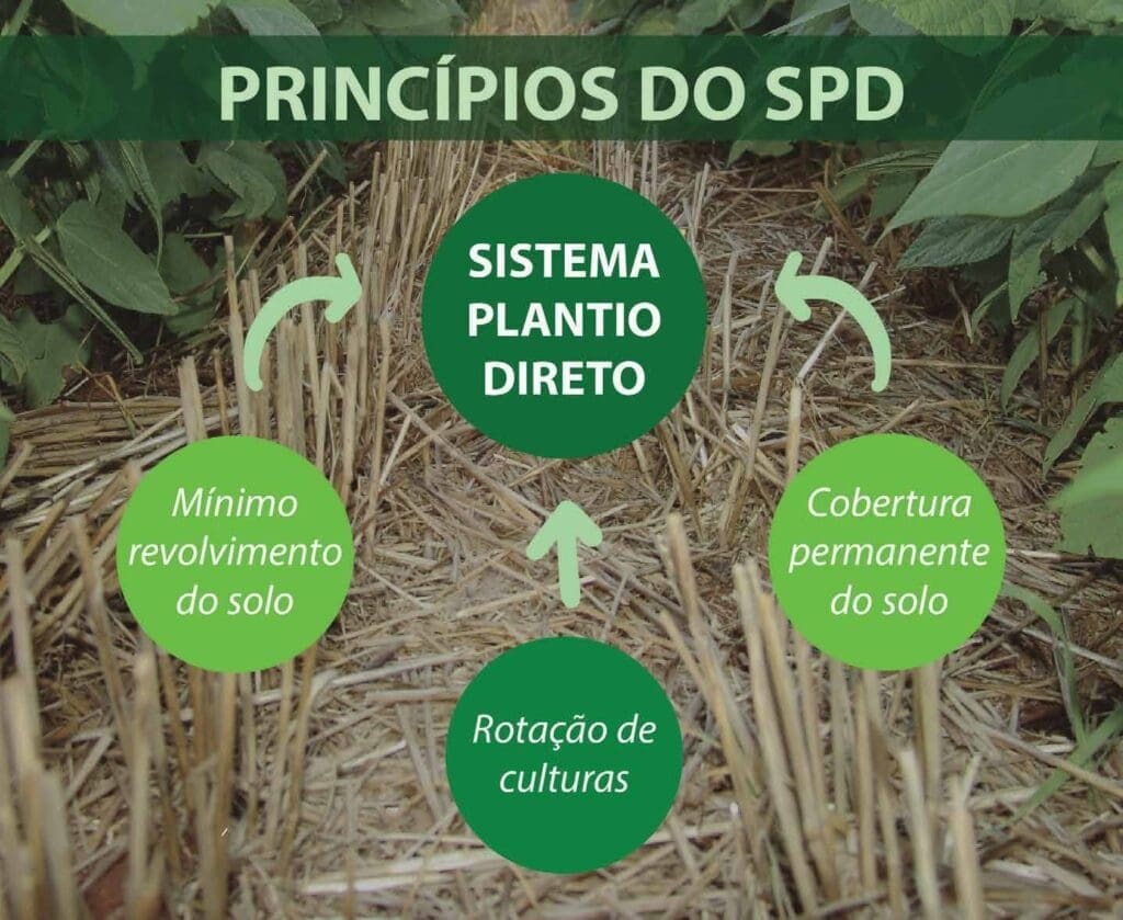 Imagem de uma plantação ao fundo, com o desenho de esquema com os princípios básicos do Plantio direto