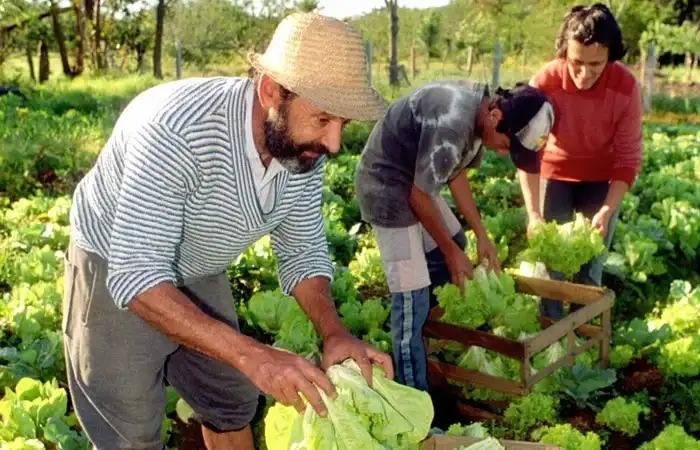 Pessoas praticando a agricultura sustentável -familiar