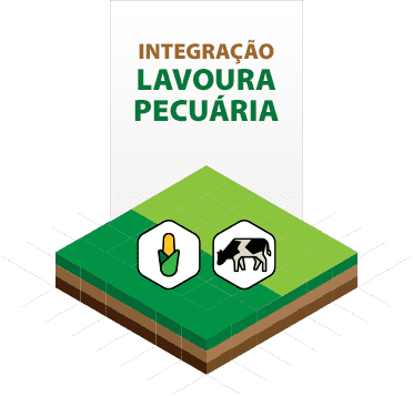 Desenho simbólico representando o Sistema Agropastoril