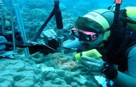 mergulhador com equipamento de mergulho observando coletando amostras de corais no fundo do mar utilizando biotecnologia marinha.