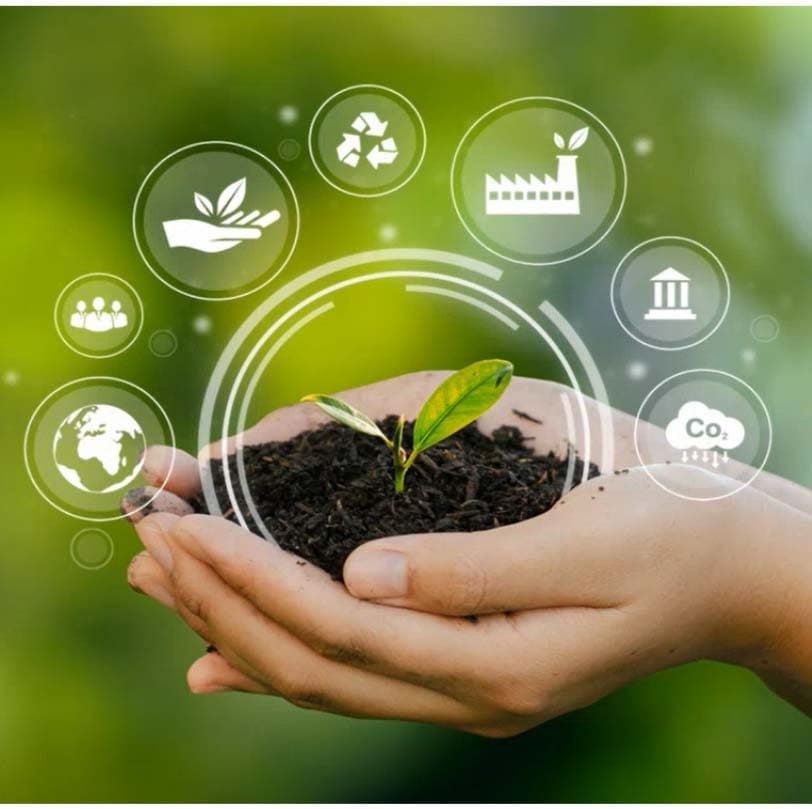 Conservação ambiental: uma pessoa segurando um punhado de terra onde cresce uma muda de planta e acima ícones que representam práticas sustentáveis: reciclagem, empresas responsáveis ambientalmente, poder judiciário e planeta Terra.