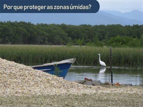 Convenção de Ramsar. Trecho alagado, com um barco, uma ave e plantas aquáticas sobre a água