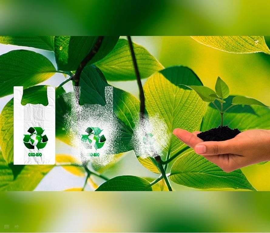 Embalagens biodegradáveis e recicláveis