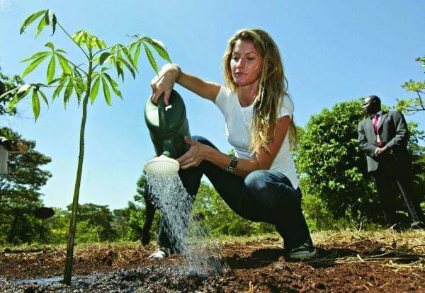 Fotografia da modelo Gisele Bündchen regando uma muda de árvore, ela é uma das figuras mais expoentes da filantropia ambiental no Brasil.
