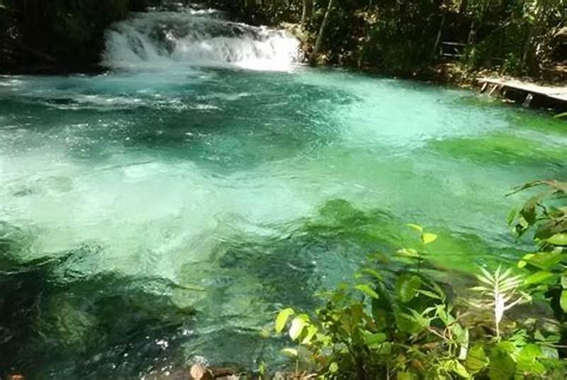 Fotografia de um dos tipos de Biomas de Água Doce, uma pequena queda de água em um riacho com água cristalina e o fundo verde claro.