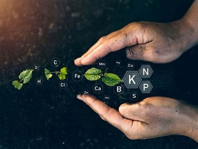 Duas mãos seguram uma placa com desenhos e plantas e substâncias que representam fertilizantes Orgânicos