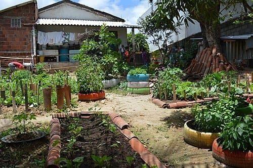 Quintais Produtivos que se tornam lindos jardins