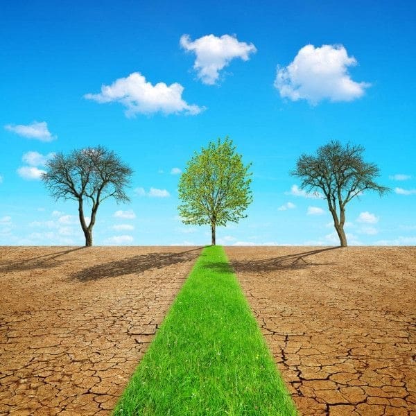 Regulação do Clima