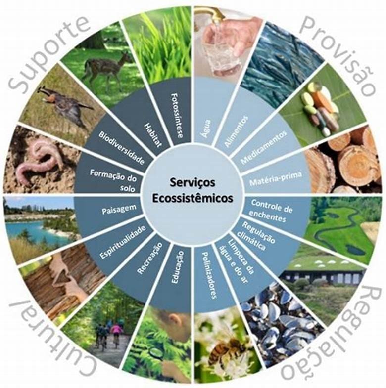um diagrama mostrando os serviços ecossistêmicos que mantém a vida no planeta