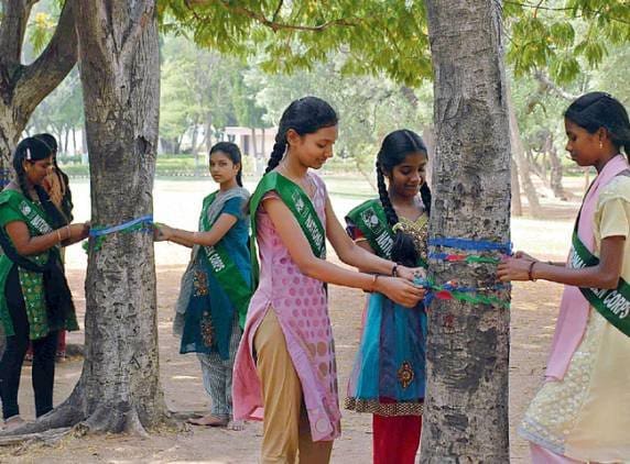 Movimento Chipko - O que é, quando surgiu e quais seus impactos, mulheres indianas enlaçam árvores com fitas coloridas.