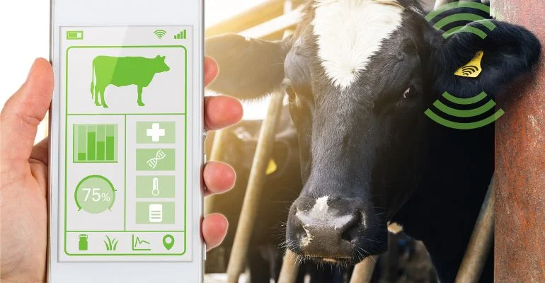 Equipamentos em uso na pecuária de Precisão: sua importância para sustentabilidade e produtividade
