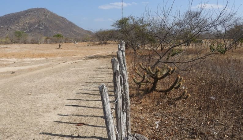 Área devastada pelo sobrepastoreio mostra a necessidade de medidas de fiscalização