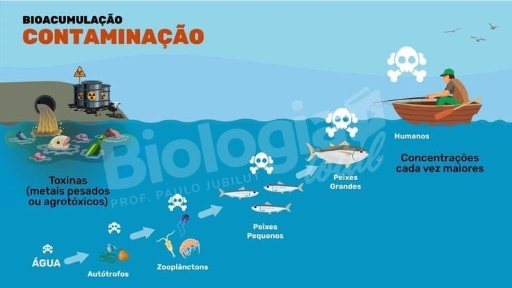 Um desenho escrito biologia com um barco no mar mostrando a Bioacumulação