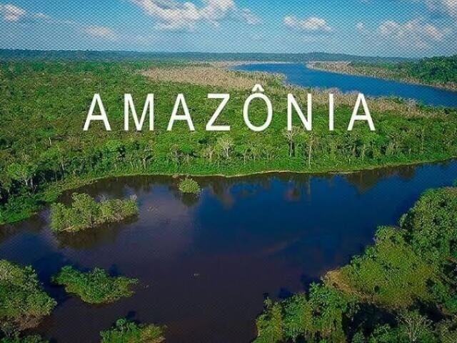 Pacto pela Restauração da Amazônia. Fotografia do rio Amazônia com a floresta por toda a sua margem, em cima escrito: "Amazônia".