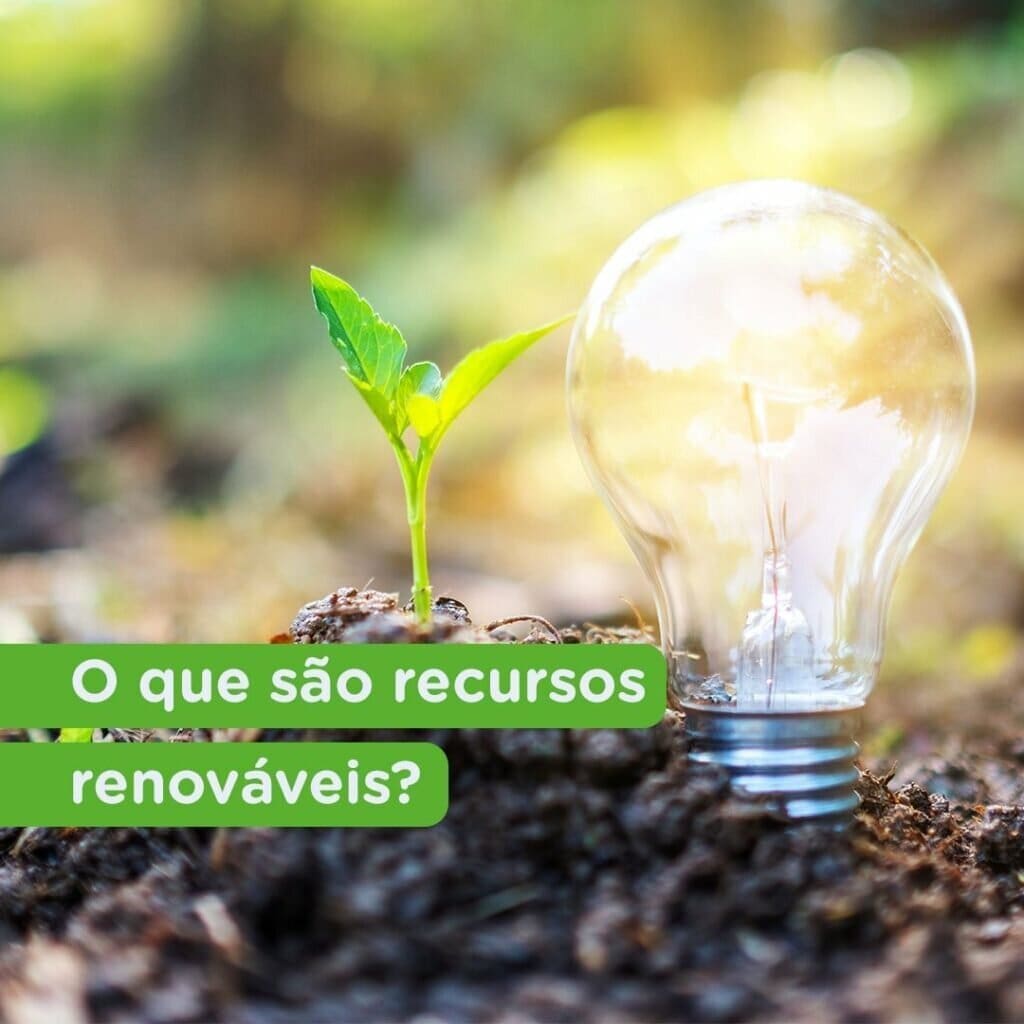 fotografia rente ao solo de uma área de floresta, uma muda de planta e ao lado uma lâmpada e escrito "o que são recursos renováveis?".