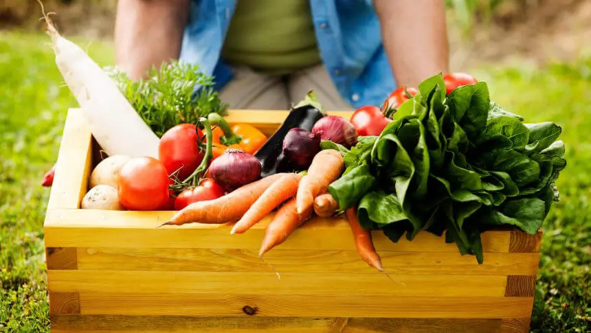 Uma mulher segura uma caixa contendo alimentos orgânicos