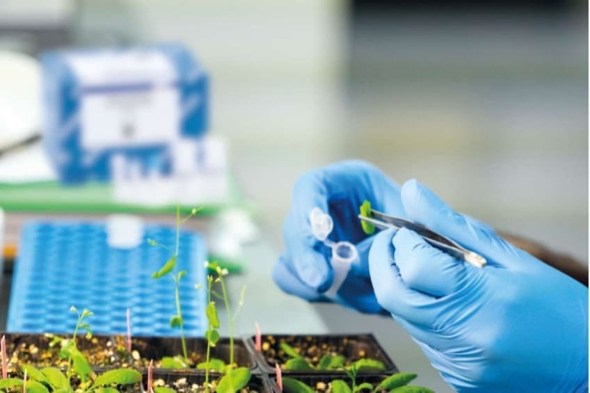 Mão com luvas azuis segurando uma ampola com biodefensivos e colocando uma muda de planta no interior desta ampola. Mesa ao fundo com sementeiras azuis e algumas mudas de plantas.