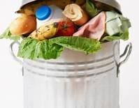Um balde cheio lixo orgânico mostra o quanto desperdício de alimentos provocamos