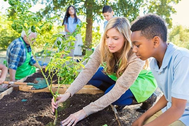 Uma professora e alunos estão aplicando a educação ambiental na prática.