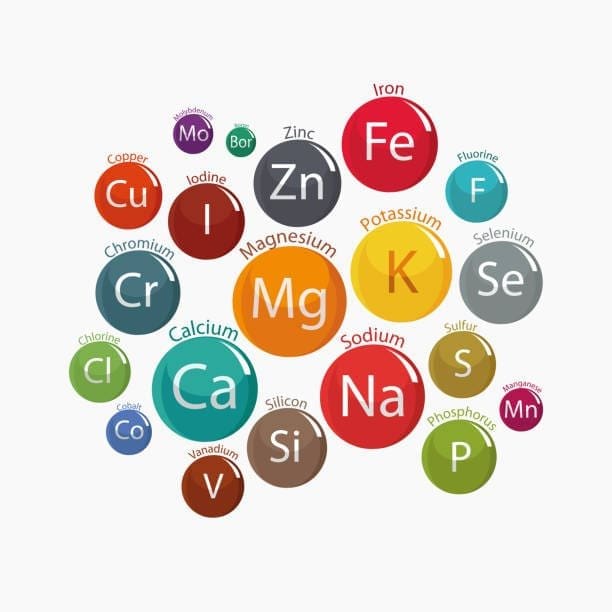 vários círculos coloridos com o nome dos minerais e seus símbolos: ferro, zinco, cromo, sódio, potássio, cromo e etc.