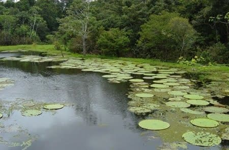 Parque Nacional do Rio Novo