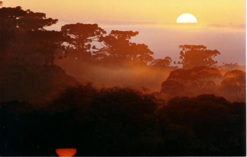 Parque Estadual Espigão Alto com floresta de araucárias e sol entre as nuvens