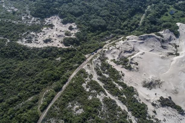 Parque Estadual de Itapeva com areia coberta por vegetação rasteira