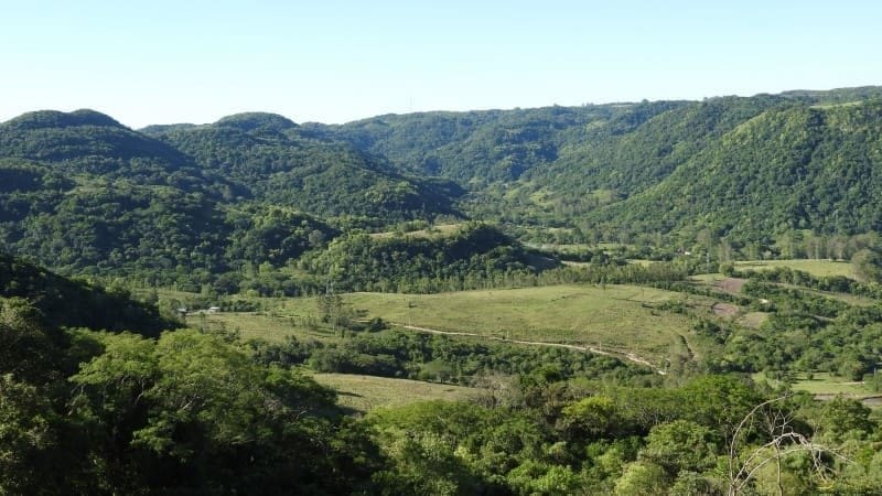 Parque Natural Municipal dos Morros com densa vegetação verde e uma serra