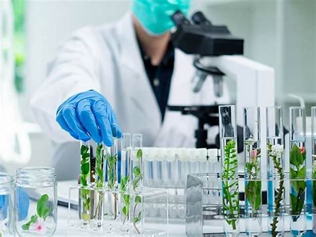 Uma das aplicações das Ciências Biológicas, um cientista manipulando vidraçarias em um laboratório.