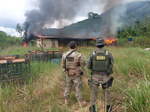 Combate à grilagem de terras