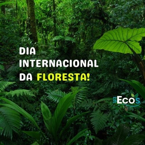 Imagem de uma floresta densa com várias espécies de plantas, em destaque está escrito: Dia internacional das florestas.