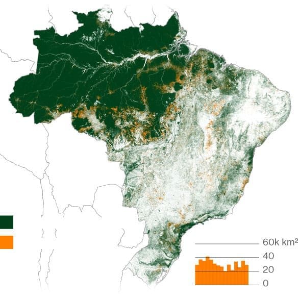 Imagem do mapa do Brasil gerada pelo Prodes