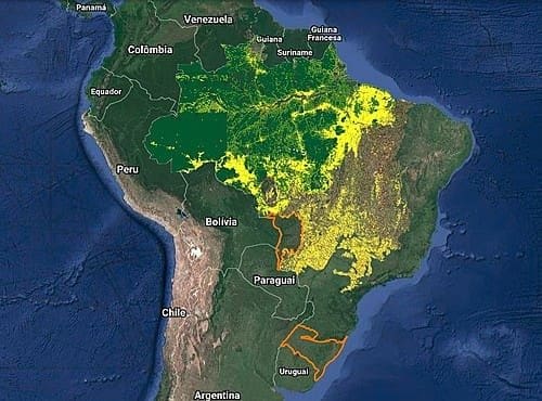 Imagem do mapa do Brasil pelo Sistema Deter.