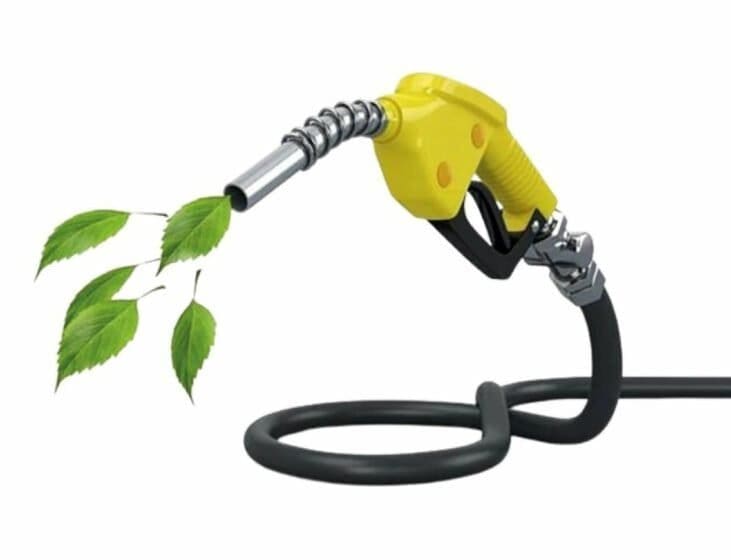 Combustíveis verdes: uma bomba de gasolina e dela sai folhas de uma árvore.