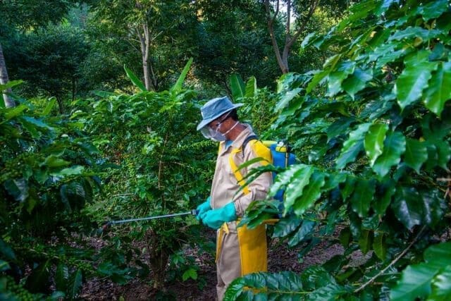 Homem com roupa de proteção amarela e máscara, aplica agroquímicos em uma lavoura