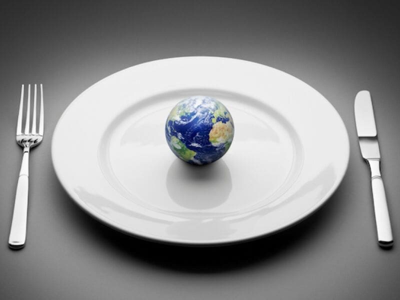 Alimentação e o planeta