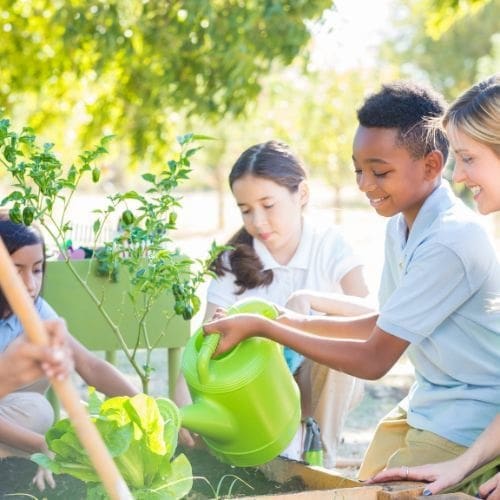 O estudo da Morfologia vegetal: uma roda composta de crianças no jardim regando plantas.