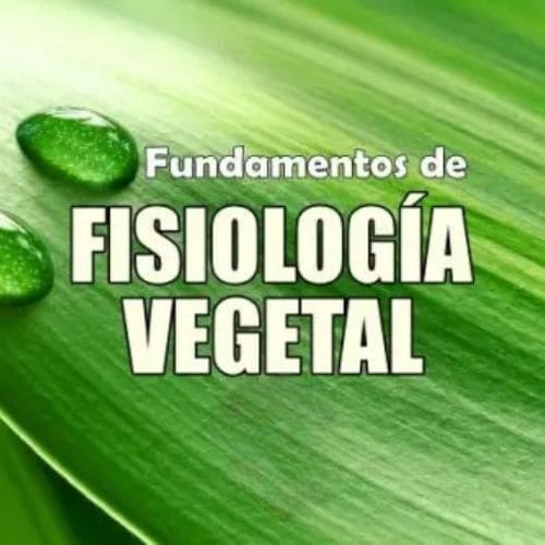 Imagem com escrita em branco: Fundamentos da Fisiologia vegetal e ao fundo uma folha com destaque para as suas nervuras.