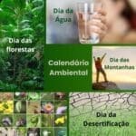 Calendário Ambiental