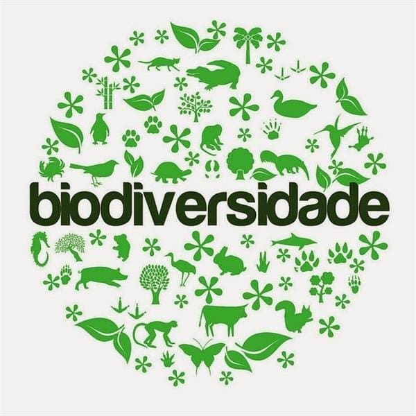 Lei da Biodiversidade