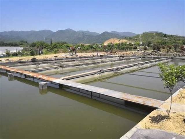 Enormes tanques de criação de peixes da piscicultura intensiva